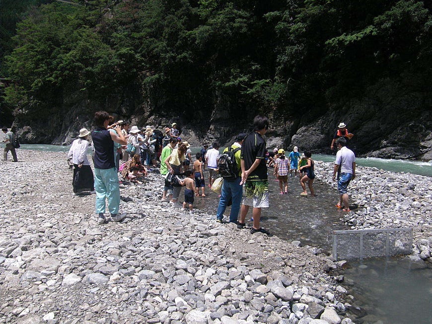 親子で見て学ぶ工事現場見学と川遊びin五條市大塔